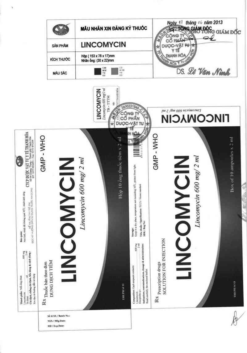 thông tin, cách dùng, giá thuốc Lincomycin 600mg/2ml - ảnh 1