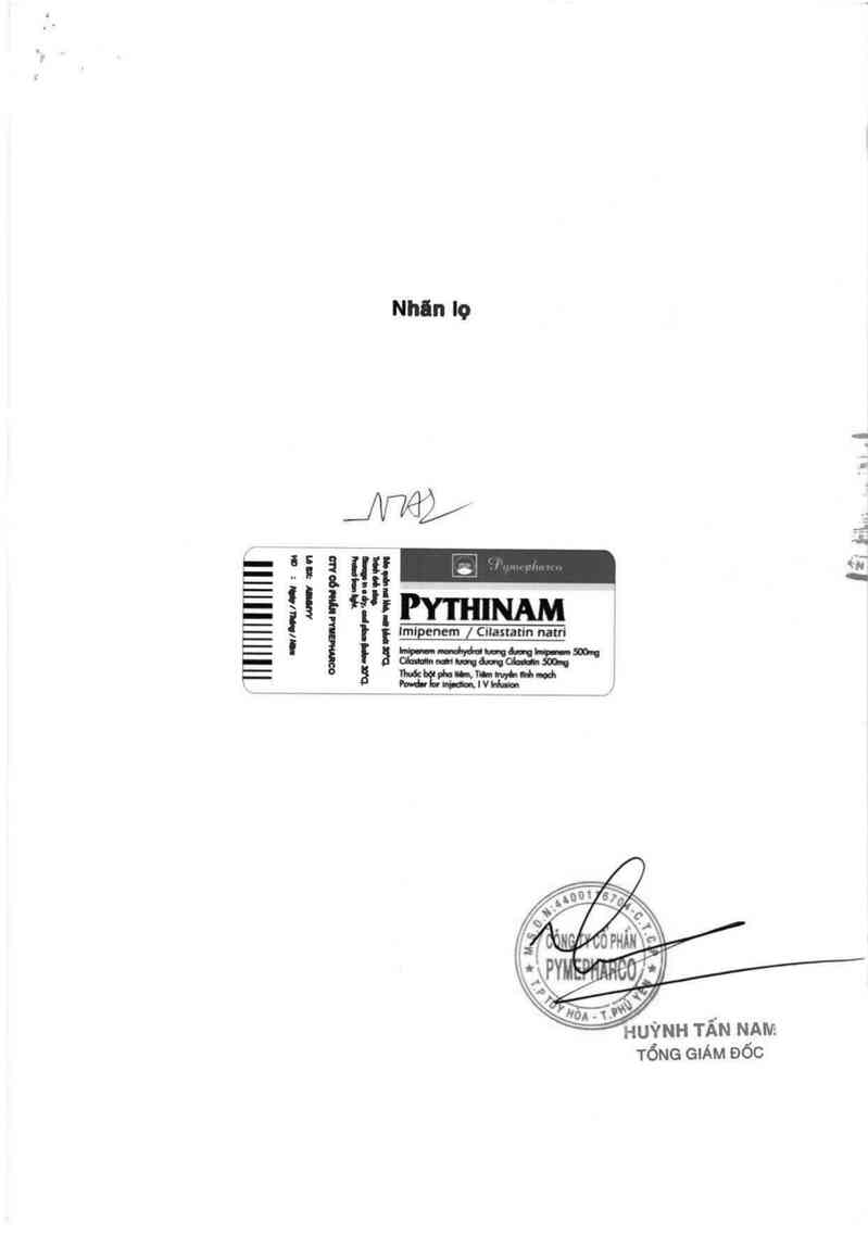 thông tin, cách dùng, giá thuốc Pythinam - ảnh 1