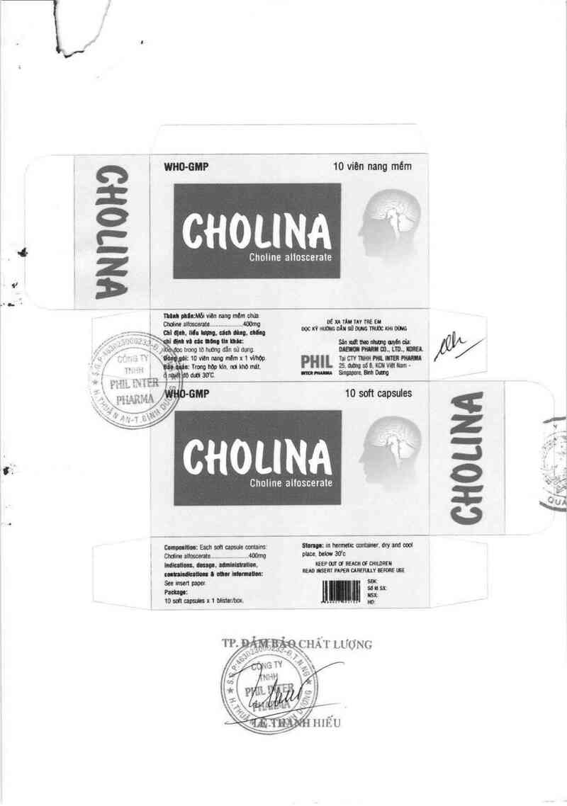 thông tin, cách dùng, giá thuốc Cholina - ảnh 1