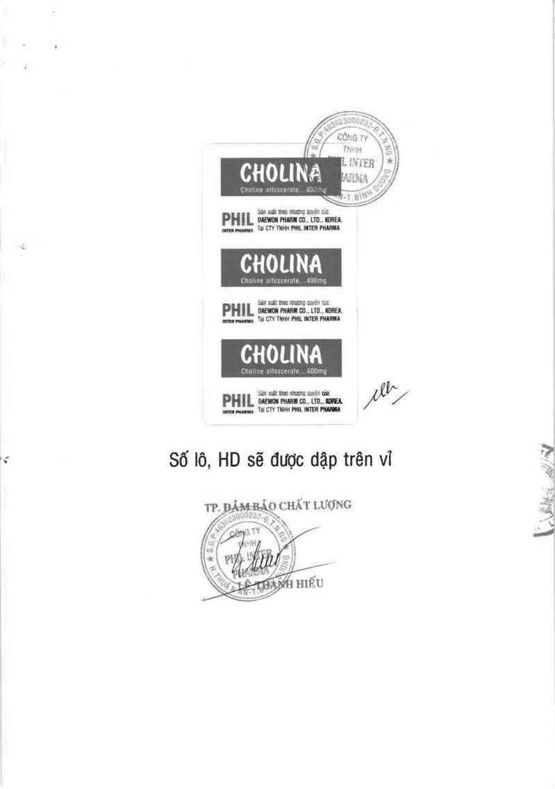 thông tin, cách dùng, giá thuốc Cholina - ảnh 2