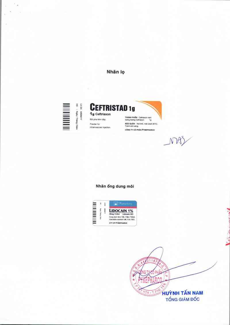 thông tin, cách dùng, giá thuốc Ceftristad 1g - ảnh 4