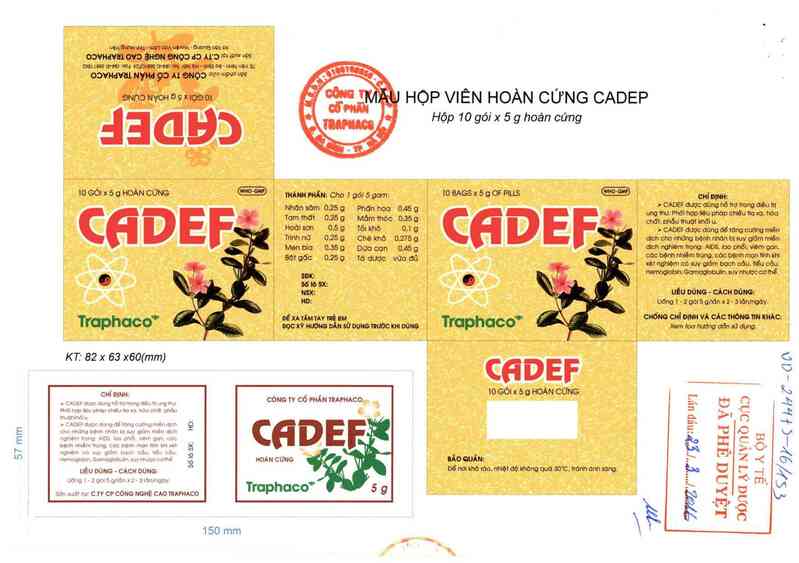 thông tin, cách dùng, giá thuốc Cadef - ảnh 0