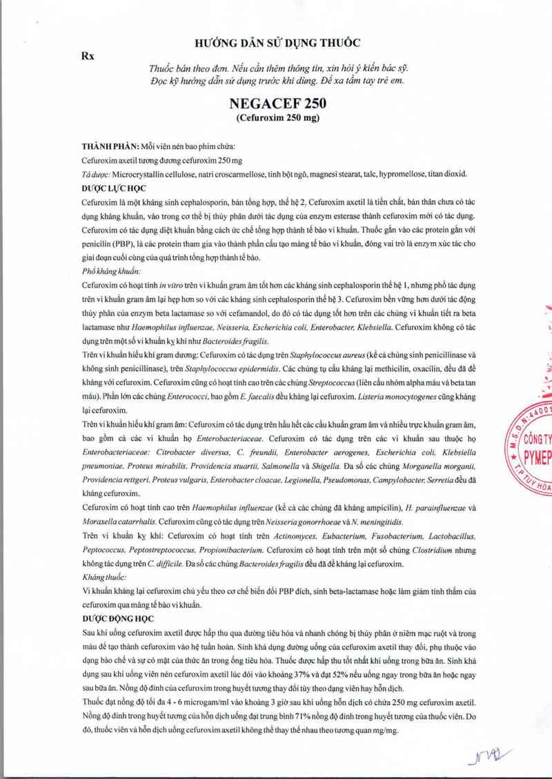 thông tin, cách dùng, giá thuốc Negacef 250 - ảnh 2