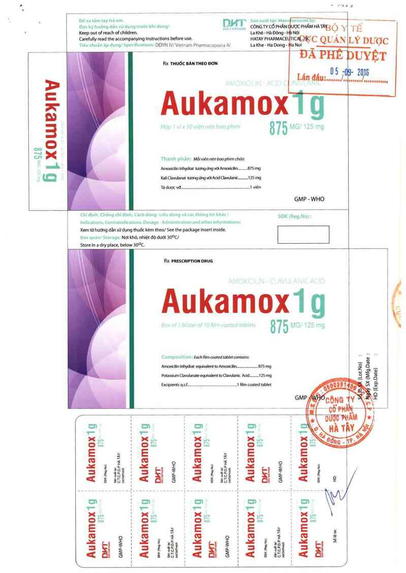 thông tin, cách dùng, giá thuốc Aukamox 1G - ảnh 0