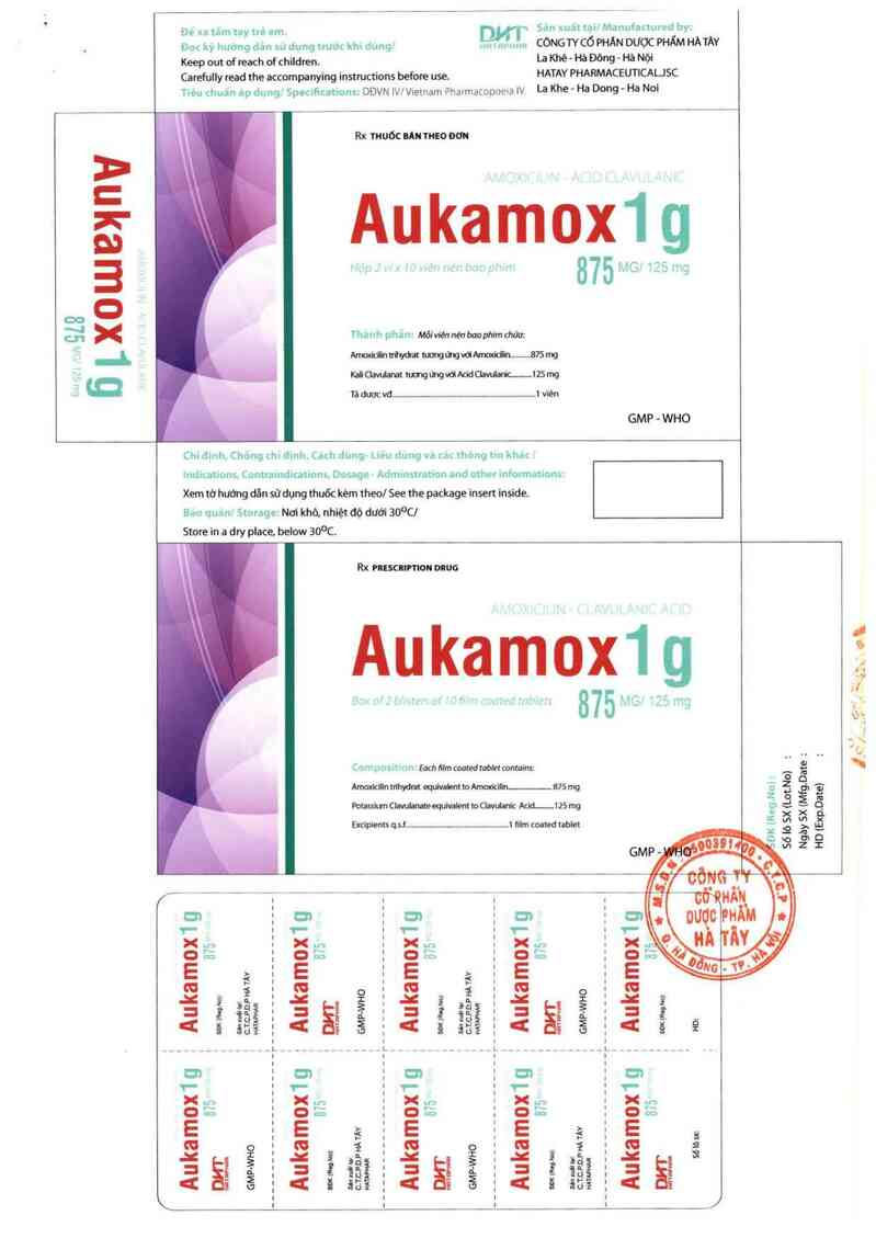 thông tin, cách dùng, giá thuốc Aukamox 1G - ảnh 1