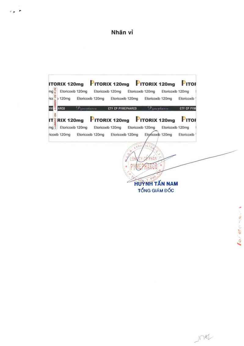 thông tin, cách dùng, giá thuốc Pitorix 120 mg - ảnh 1