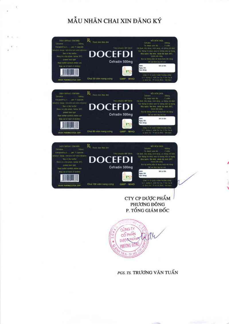 thông tin, cách dùng, giá thuốc Docefdi 500 mg - ảnh 1