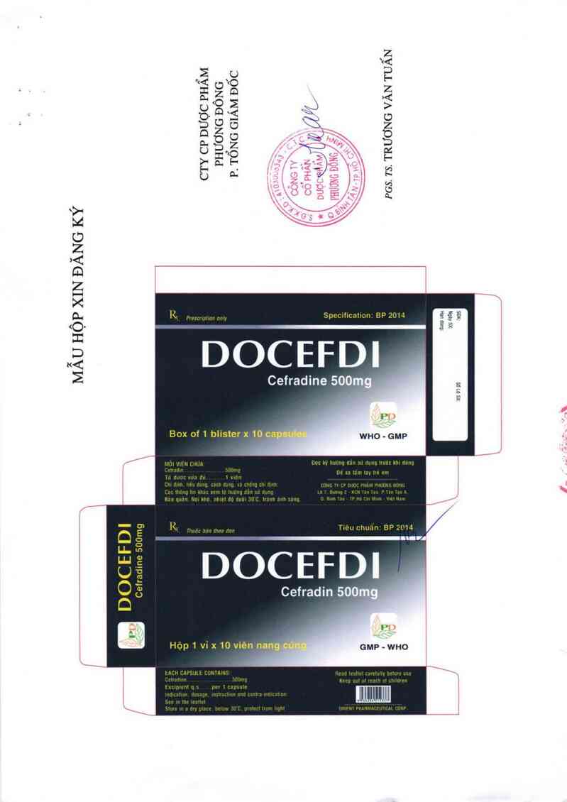 thông tin, cách dùng, giá thuốc Docefdi 500 mg - ảnh 2