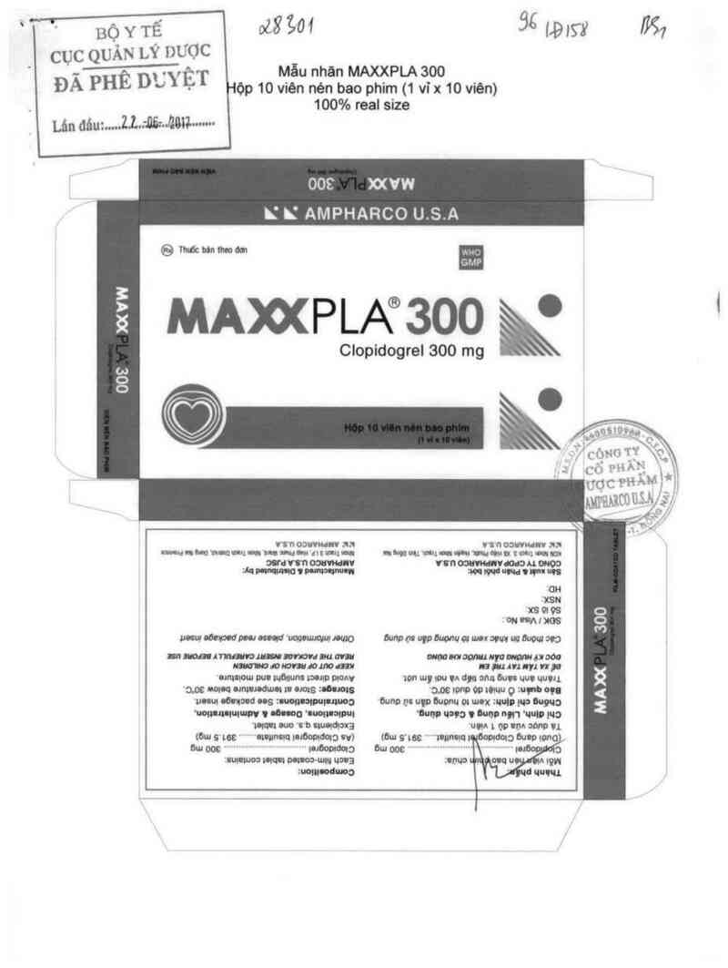thông tin, cách dùng, giá thuốc Maxxpla 300 - ảnh 0