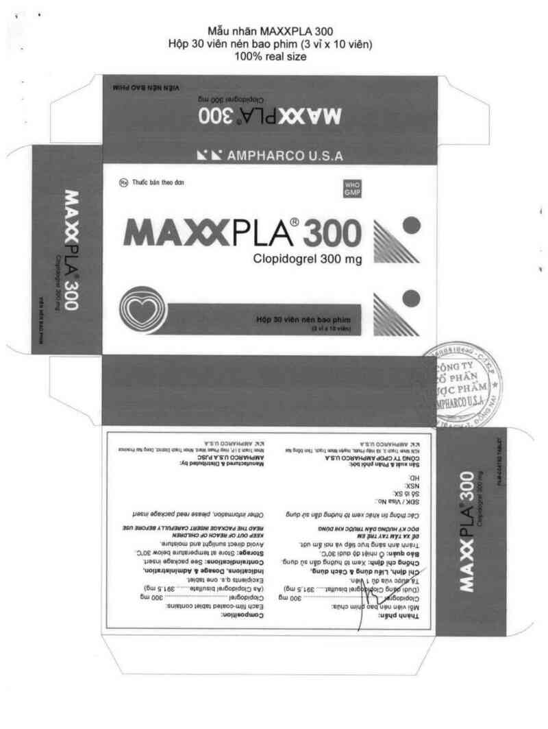 thông tin, cách dùng, giá thuốc Maxxpla 300 - ảnh 1