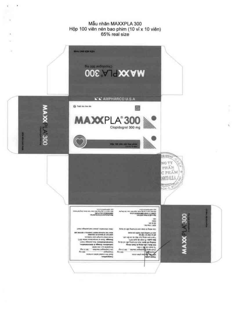 thông tin, cách dùng, giá thuốc Maxxpla 300 - ảnh 2