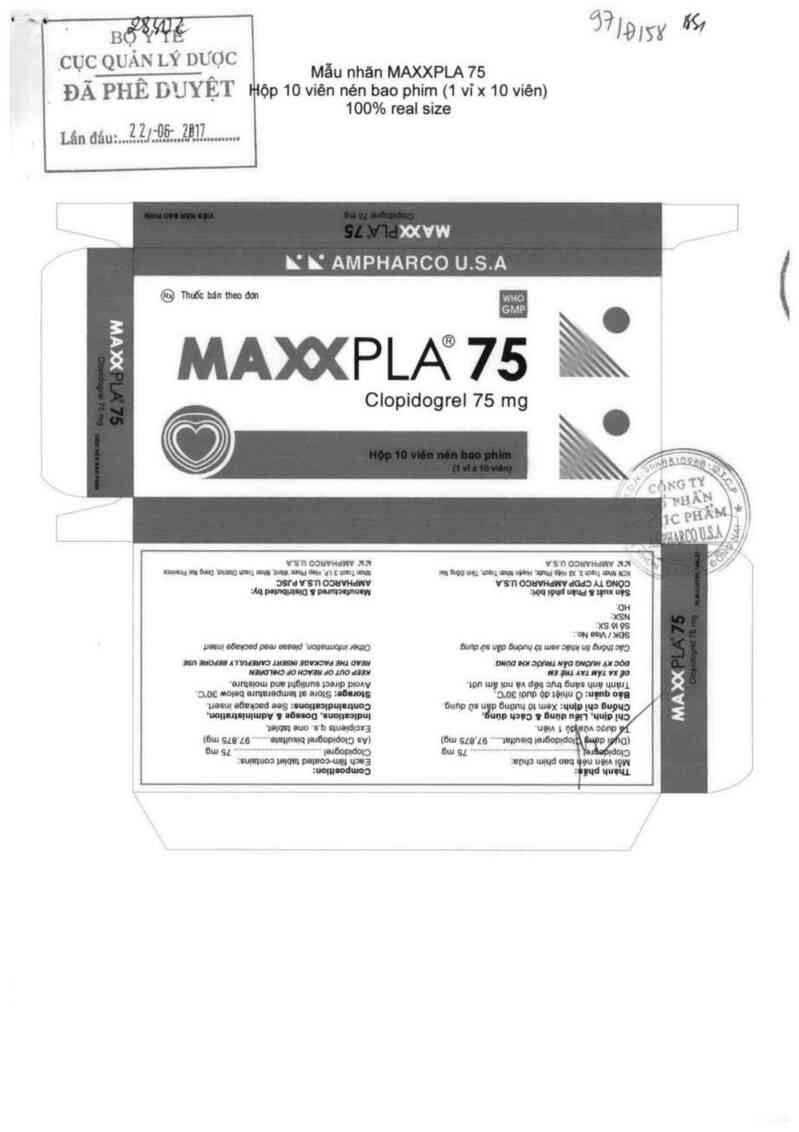 thông tin, cách dùng, giá thuốc Maxxpla 75 - ảnh 0
