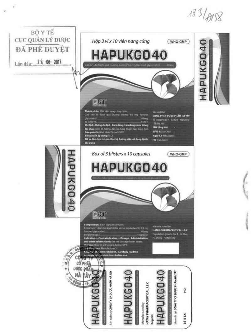 thông tin, cách dùng, giá thuốc Hapukgo 40 - ảnh 0