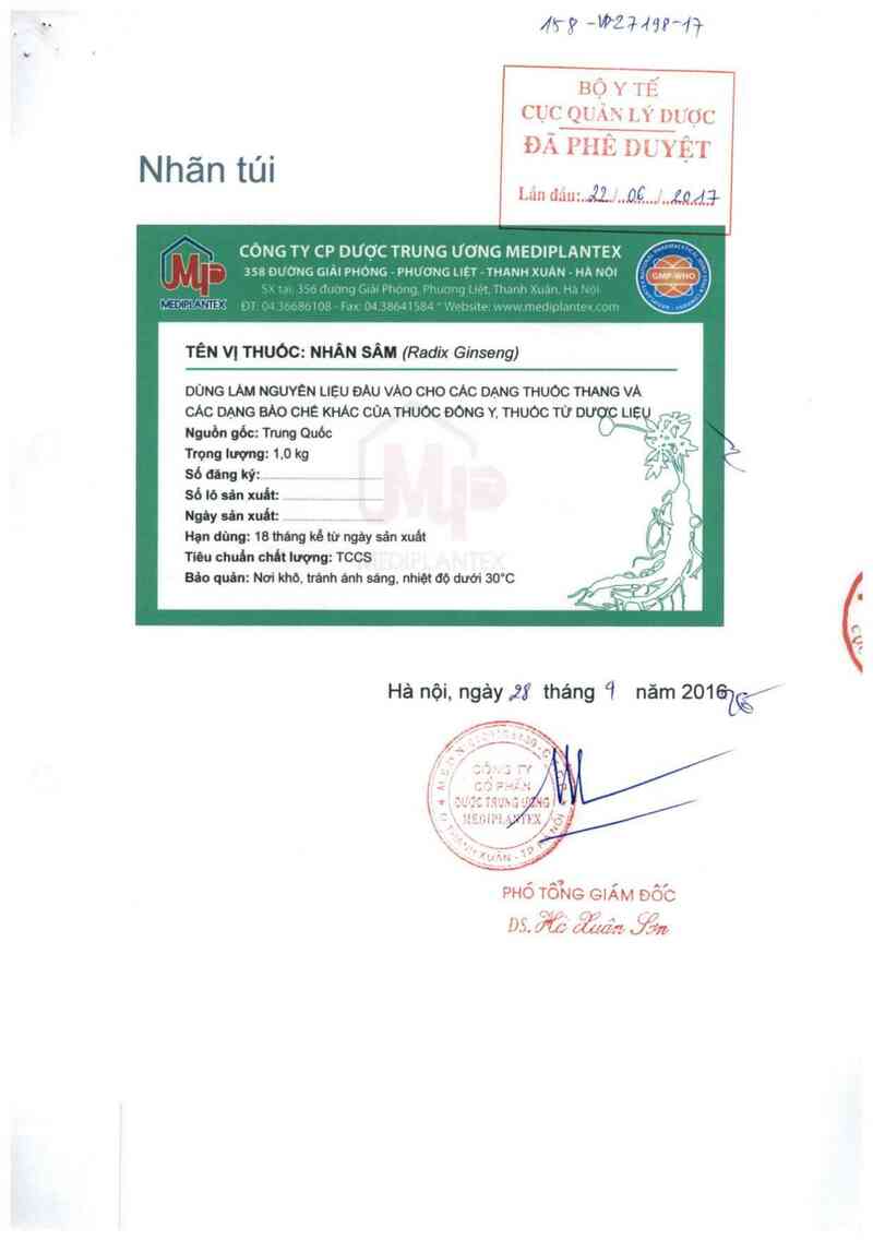 thông tin, cách dùng, giá thuốc Nhân sâm - ảnh 0
