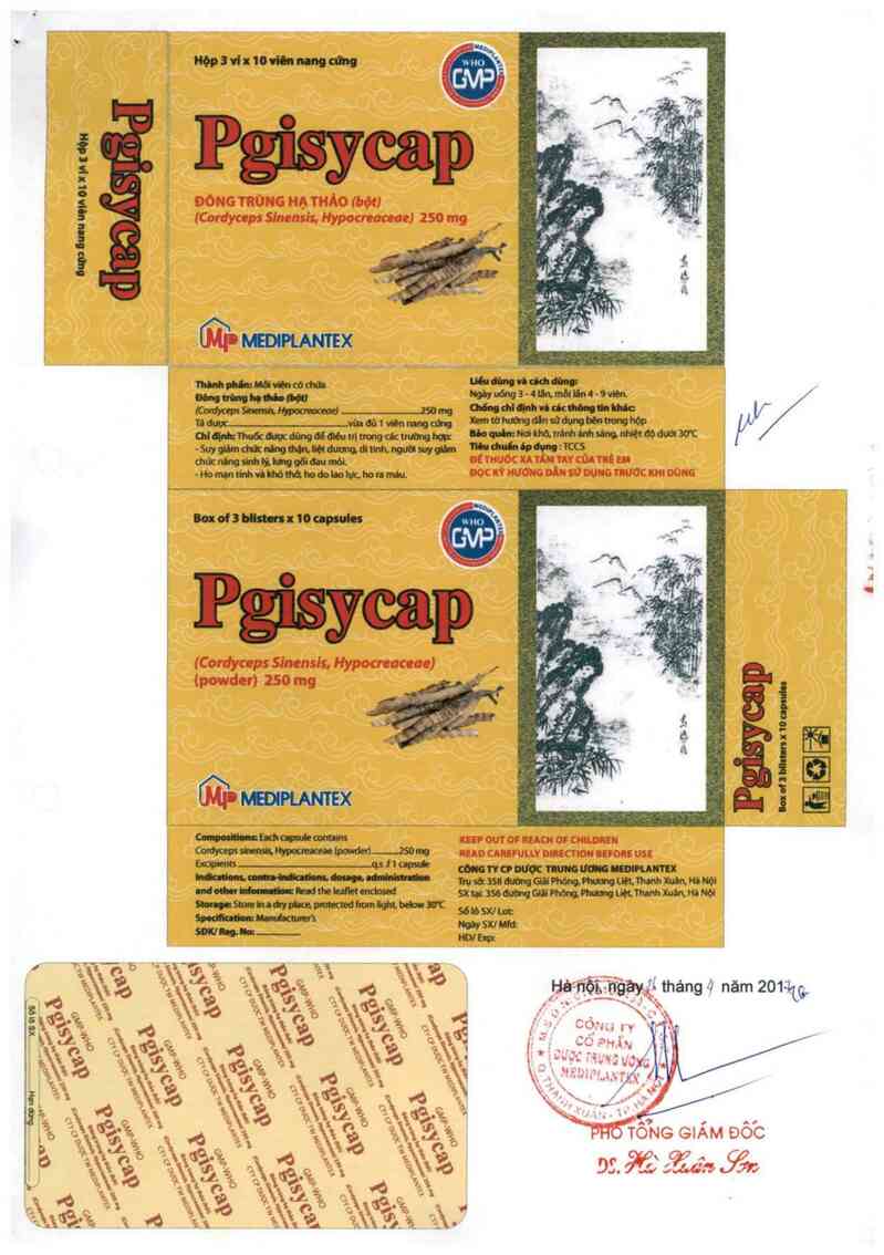 thông tin, cách dùng, giá thuốc Pgisycap - ảnh 2