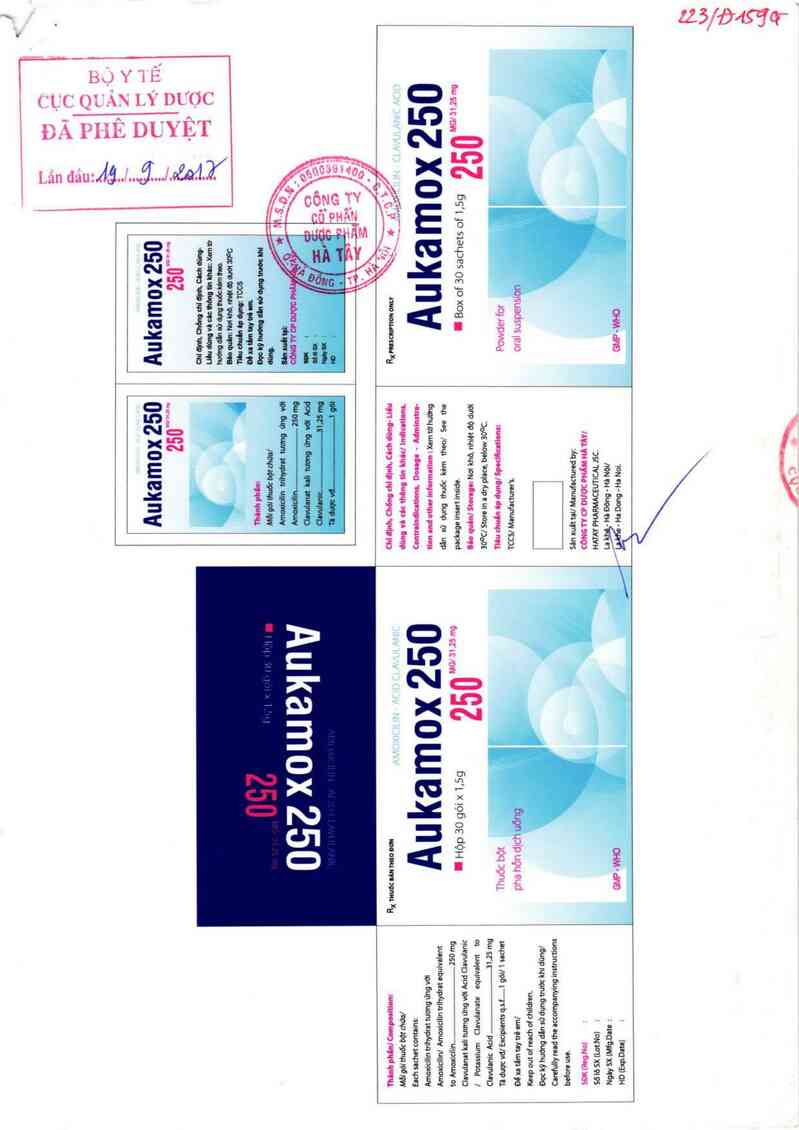 thông tin, cách dùng, giá thuốc Aukamox 250 - ảnh 0