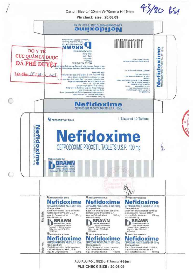 thông tin, cách dùng, giá thuốc Nefidoxime - ảnh 0