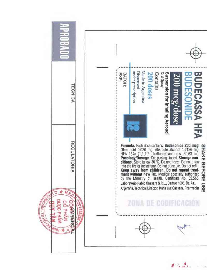 thông tin, cách dùng, giá thuốc Budecassa HFA - ảnh 1