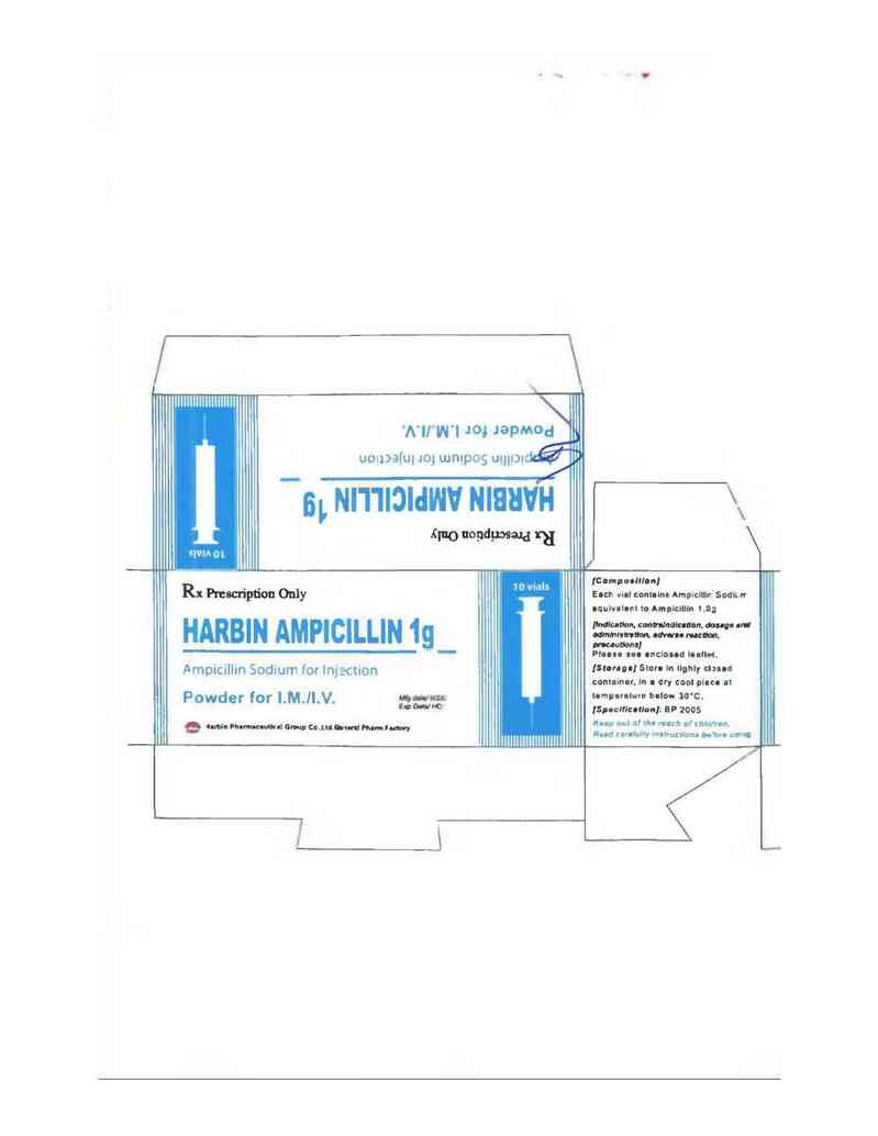 thông tin, cách dùng, giá thuốc Harbin Ampicillin - ảnh 1