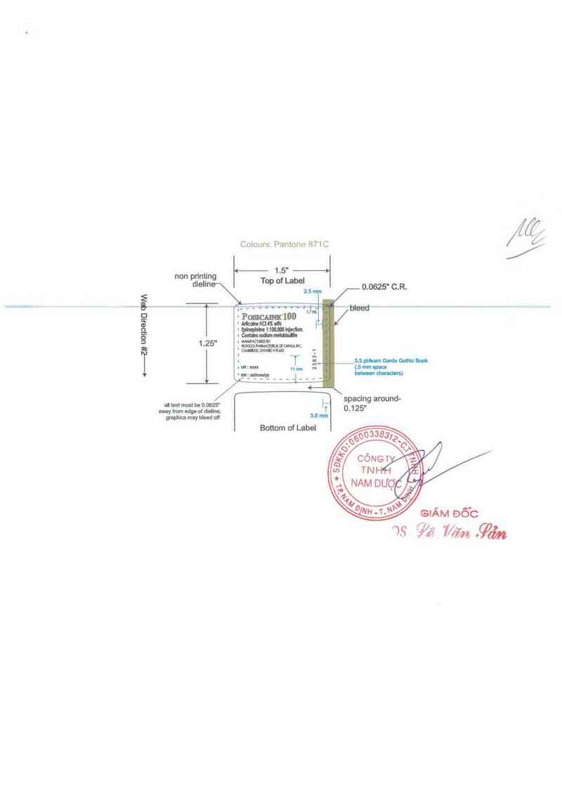 thông tin, cách dùng, giá thuốc Posicaine 100 - ảnh 1
