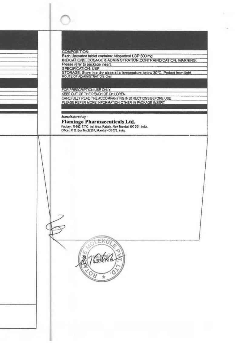 thông tin, cách dùng, giá thuốc Alloflam 300 - ảnh 2
