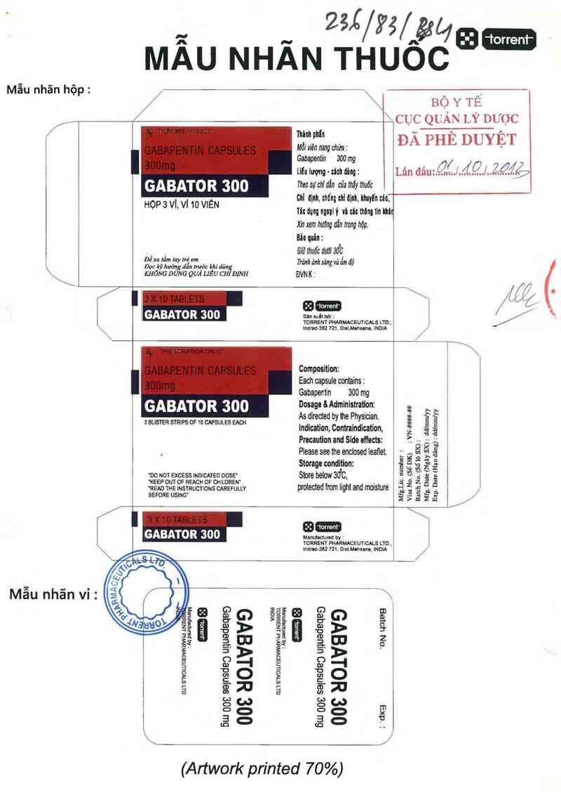 thông tin, cách dùng, giá thuốc Gabator 300 - ảnh 0