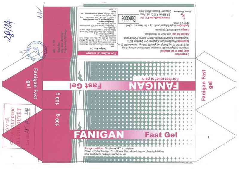 thông tin, cách dùng, giá thuốc Fanigan Fast Gel - ảnh 0