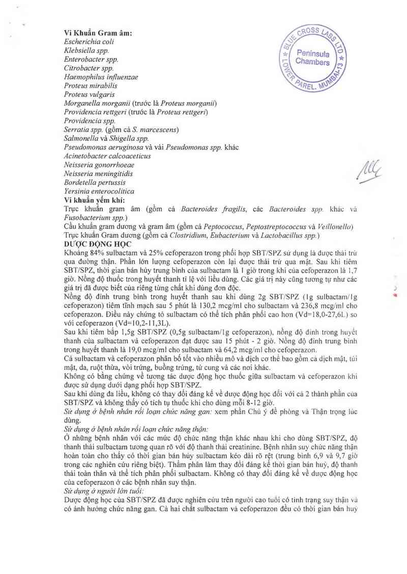 thông tin, cách dùng, giá thuốc Peractum -500+500 - ảnh 2