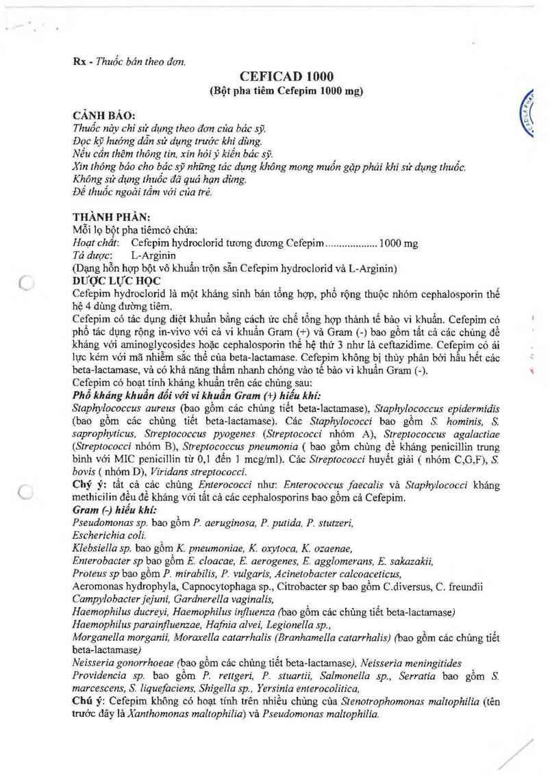 thông tin, cách dùng, giá thuốc Ceficad 1000 - ảnh 1