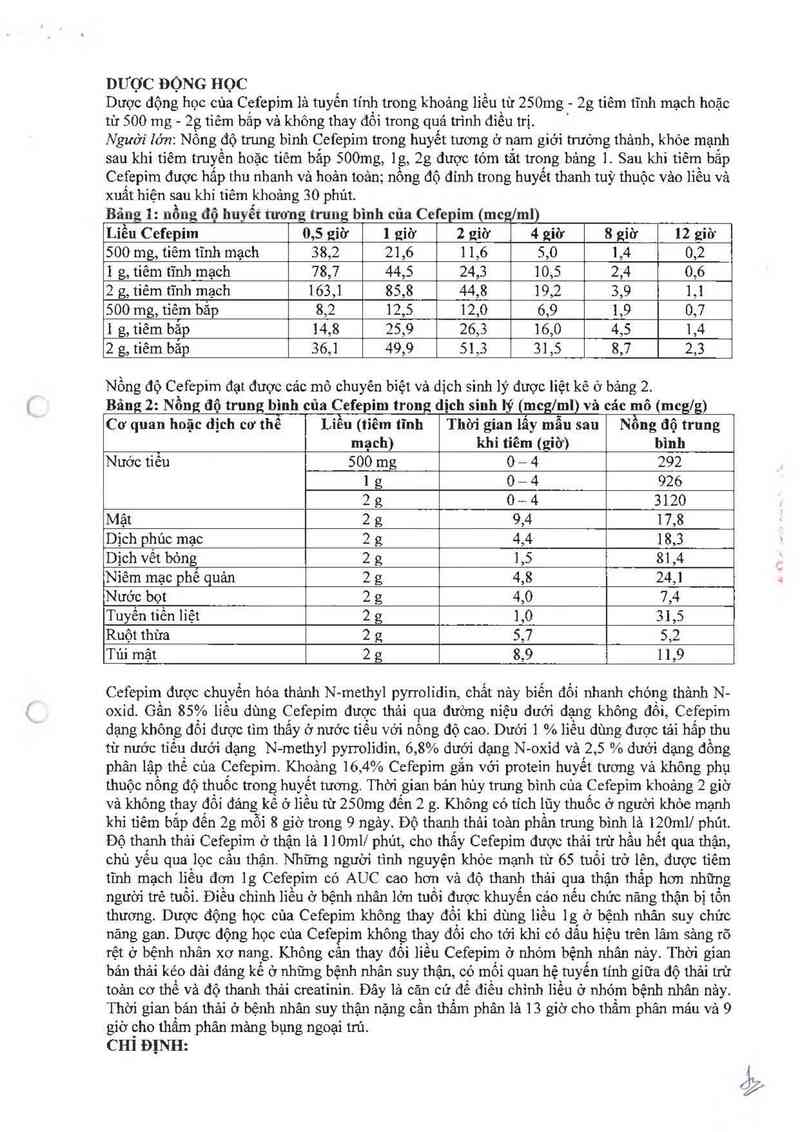 thông tin, cách dùng, giá thuốc Ceficad 1000 - ảnh 2
