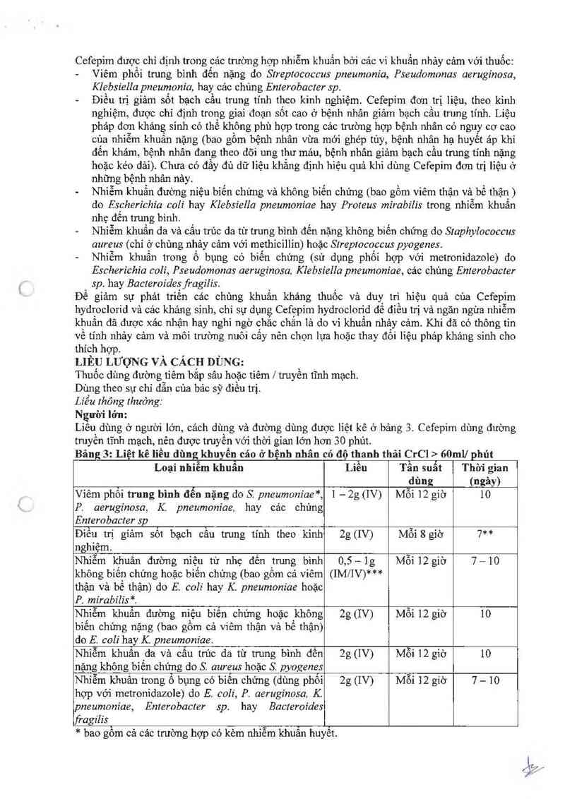 thông tin, cách dùng, giá thuốc Ceficad 1000 - ảnh 3