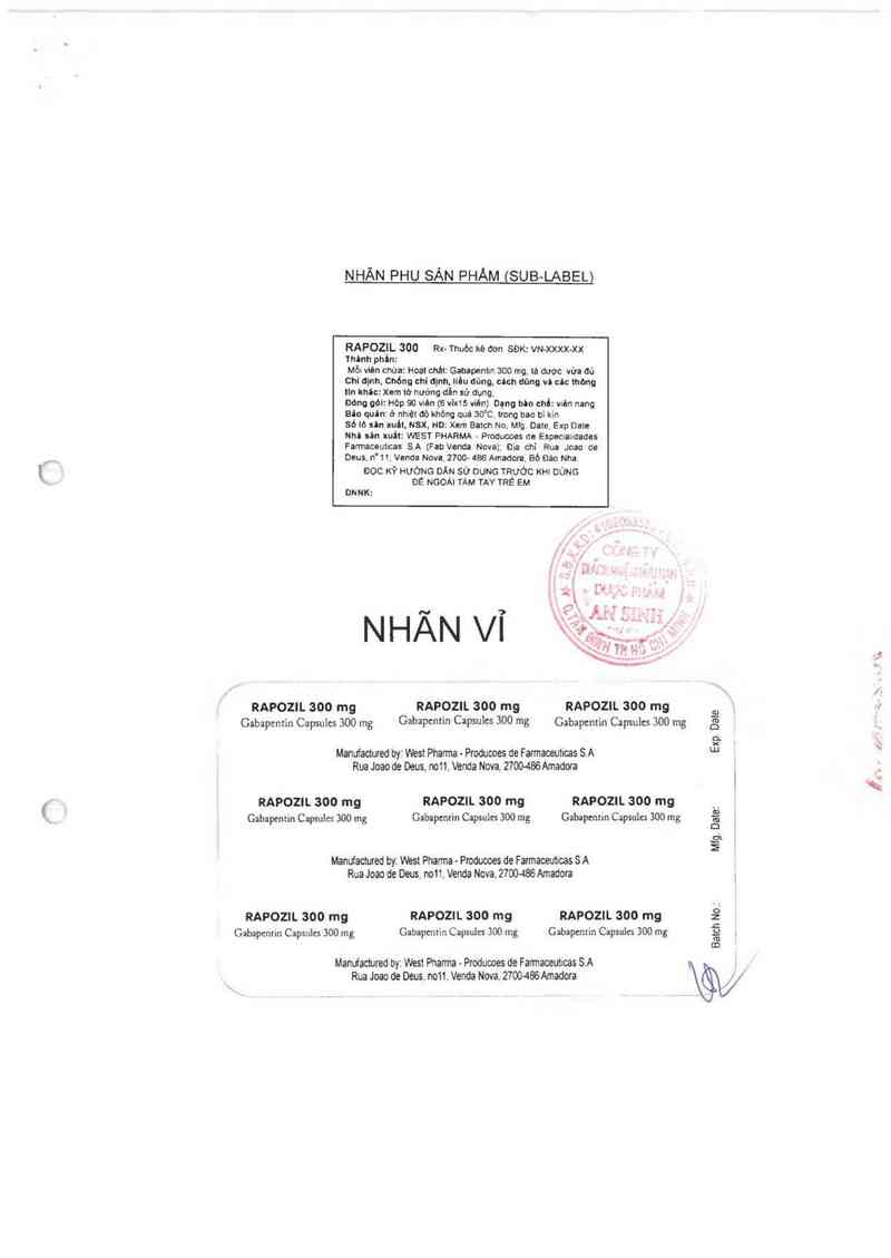 thông tin, cách dùng, giá thuốc Rapozil 300mg - ảnh 1