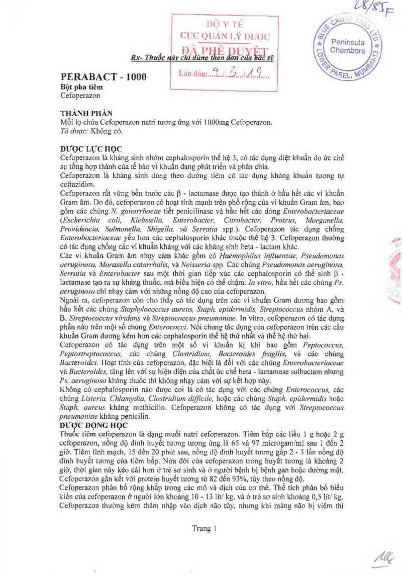 thông tin, cách dùng, giá thuốc Perabact-1000 - ảnh 1