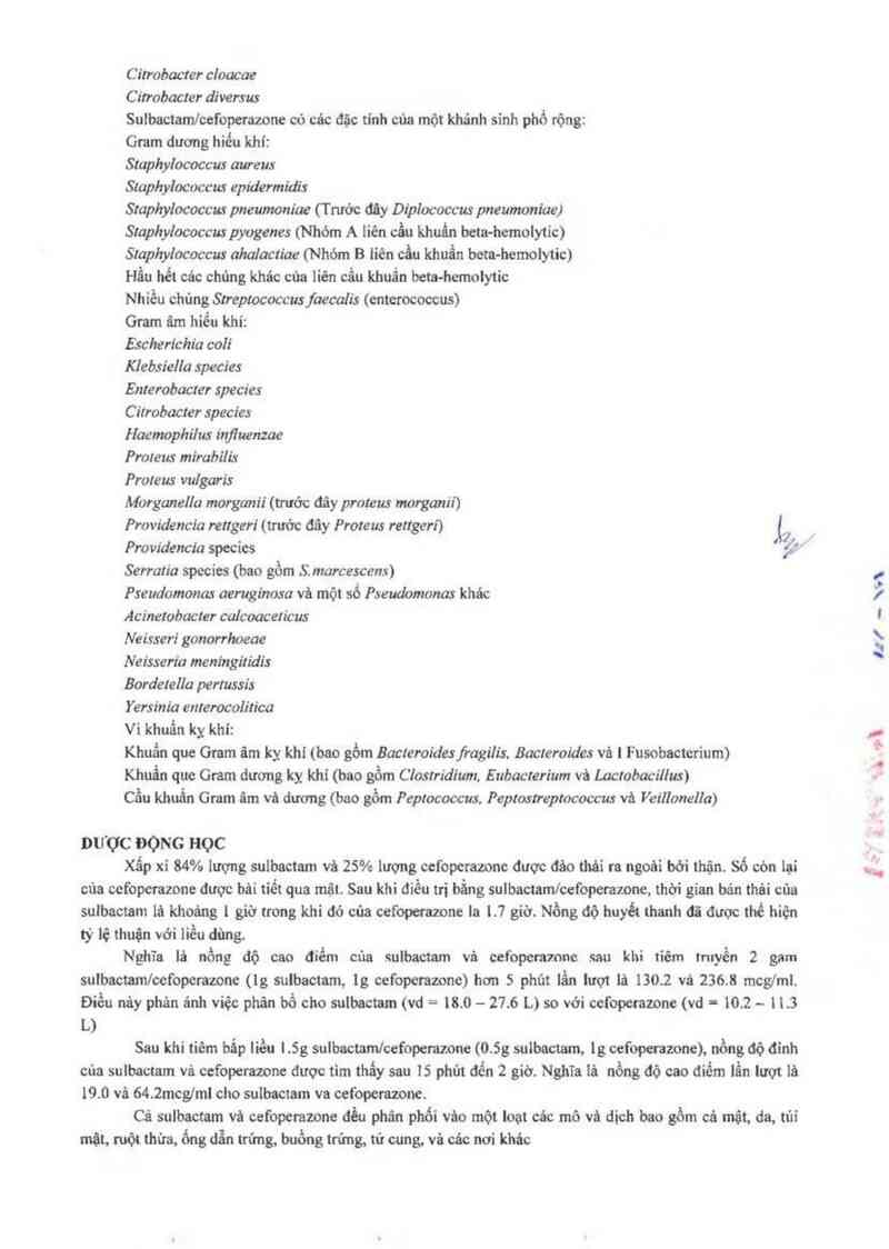 thông tin, cách dùng, giá thuốc Fytobact 1g - ảnh 2