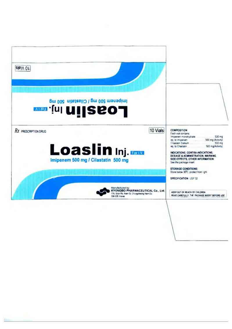thông tin, cách dùng, giá thuốc Loaslin Inj. 500mg - ảnh 0