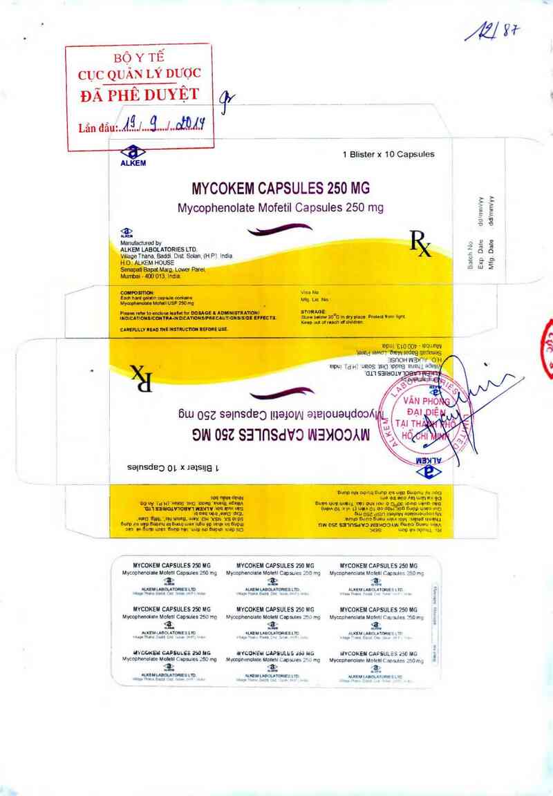thông tin, cách dùng, giá thuốc Mycokem capsules 250mg - ảnh 0