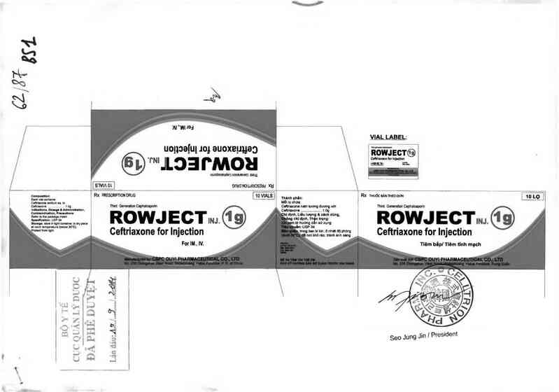 thông tin, cách dùng, giá thuốc Rowject inj - ảnh 0