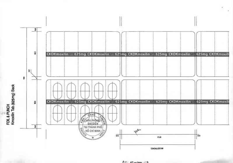 thông tin, cách dùng, giá thuốc CKDKmoxilin tab. 625mg - ảnh 6