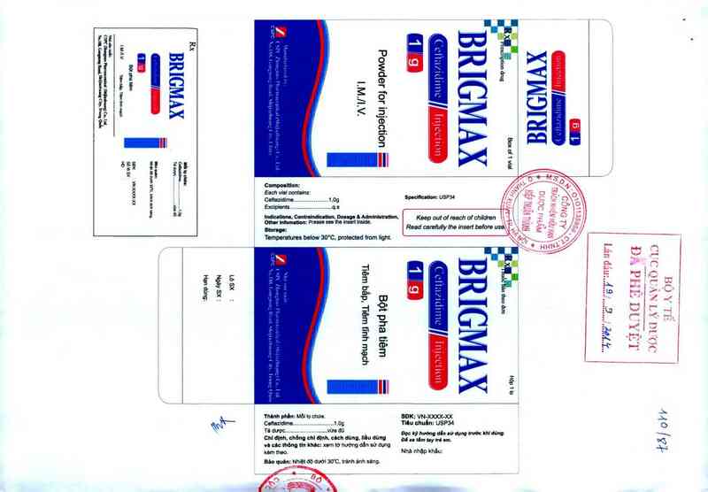 thông tin, cách dùng, giá thuốc Brigmax - ảnh 0