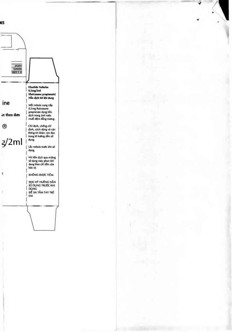 thông tin, cách dùng, giá thuốc Flixotide Nebules - ảnh 1