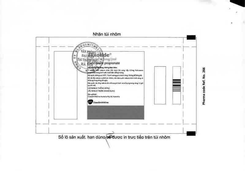 thông tin, cách dùng, giá thuốc Flixotide Nebules - ảnh 2