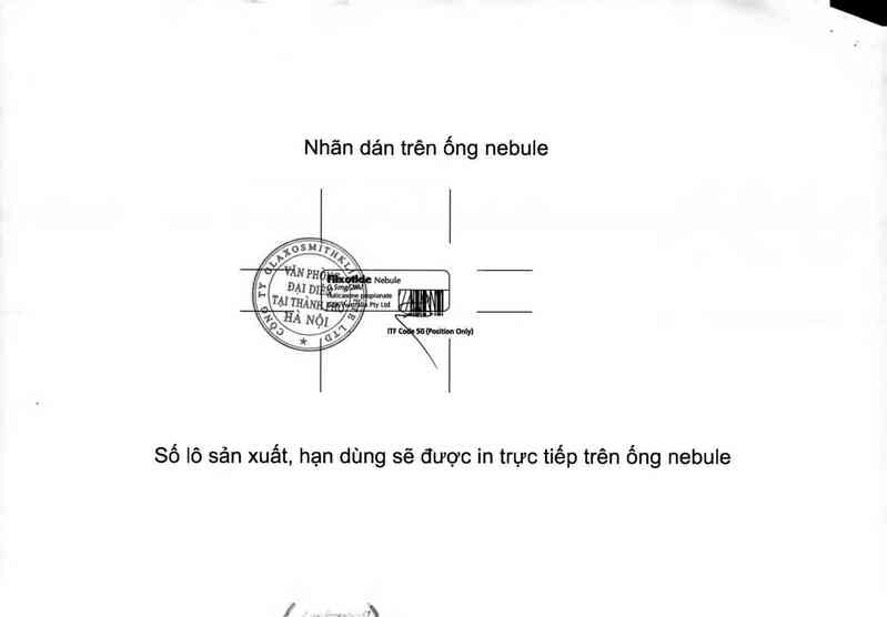 thông tin, cách dùng, giá thuốc Flixotide Nebules - ảnh 4