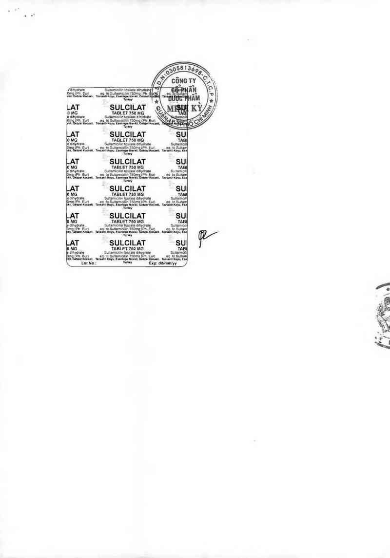 thông tin, cách dùng, giá thuốc Sulcilat 750 - ảnh 1