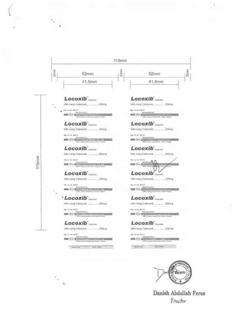 thông tin, cách dùng, giá thuốc Locoxib - ảnh 1