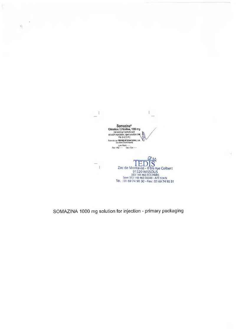 thông tin, cách dùng, giá thuốc Somazina 1000mg - ảnh 1
