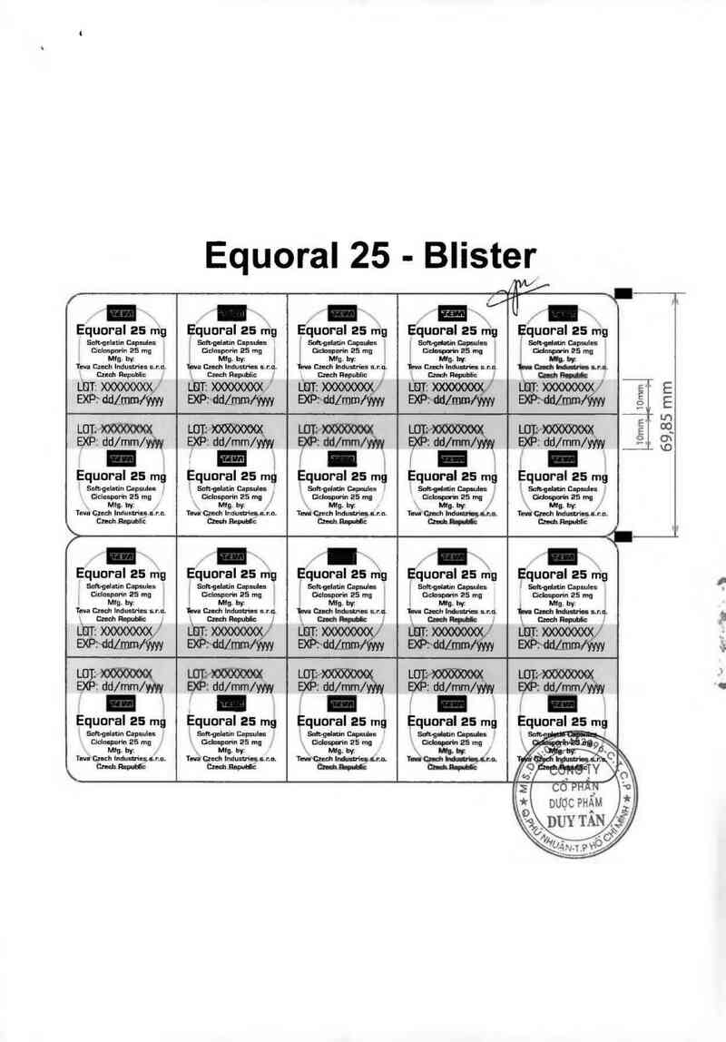 thông tin, cách dùng, giá thuốc Equoral 25 mg - ảnh 1