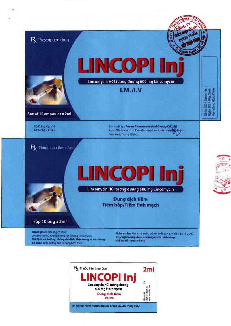 thông tin, cách dùng, giá thuốc Lincopi Inj - ảnh 1
