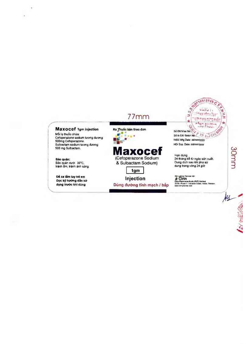 thông tin, cách dùng, giá thuốc Maxocef 1gm injection - ảnh 1