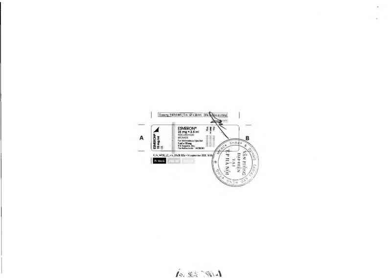 thông tin, cách dùng, giá thuốc Esmeron - ảnh 1