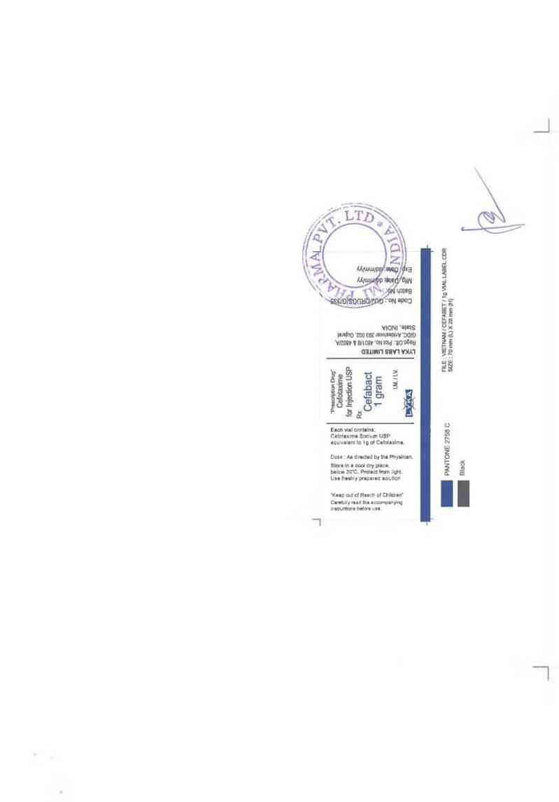 thông tin, cách dùng, giá thuốc Cefabact - ảnh 1